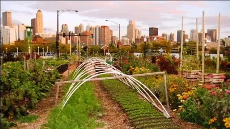 Image: 12th Annual ACORN Organic Conference and Trade Show