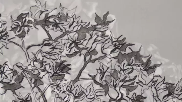 Image: Ainsley Cunningham: Undergrowth