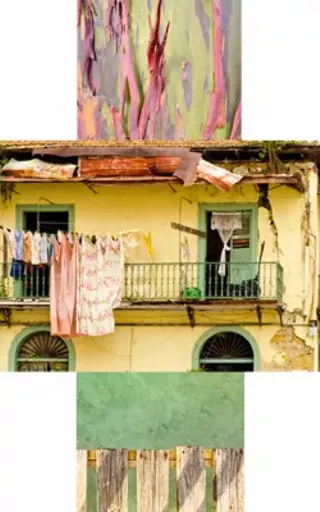 Image: Anne Bastedo: First Impressions - Central American Light