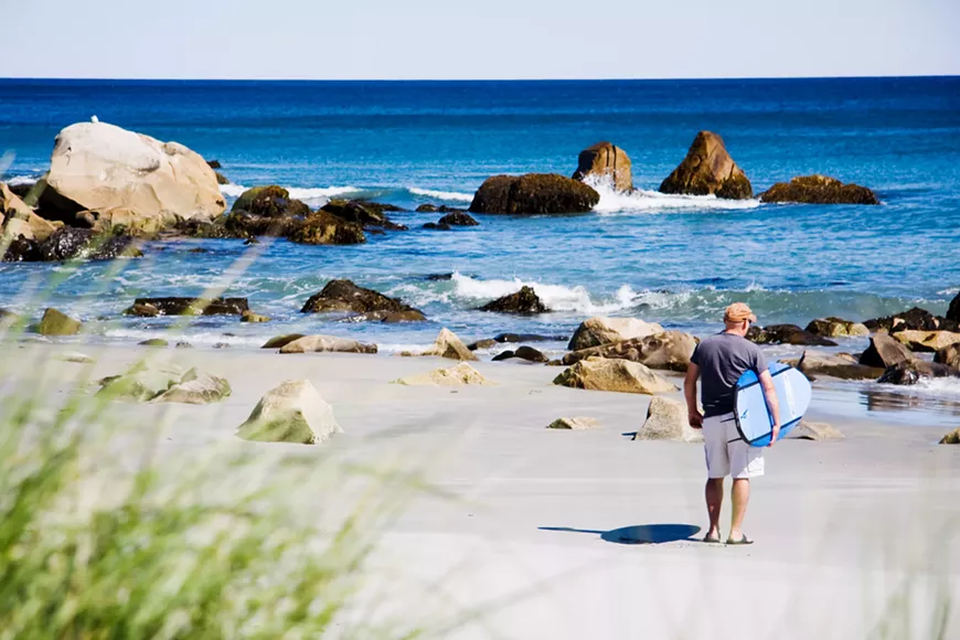 surfing.webp