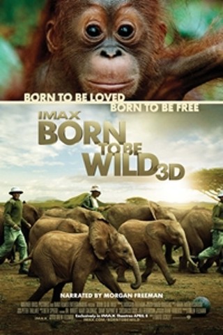 Born To Be Wild IMAX 3D