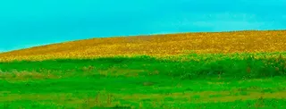 Image: Carl Snyder: Landscapes&mdash;Two Scales