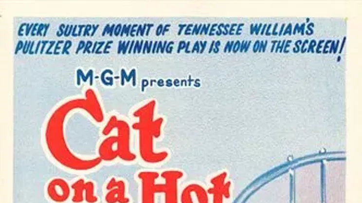 Image: Cat on a Hot Tin Roof