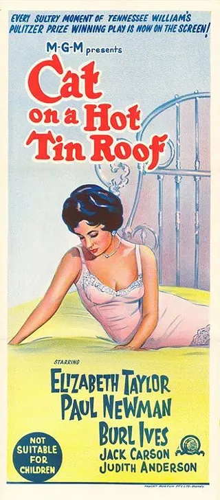 Image: Cat on a Hot Tin Roof