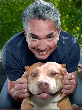 Image: Cesar Millan Live