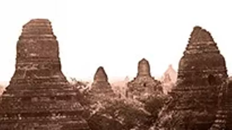 Image: Chris Foster: New Civilizations