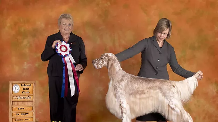 Image: Dartmouth Kennel Club Rally Show Trials
