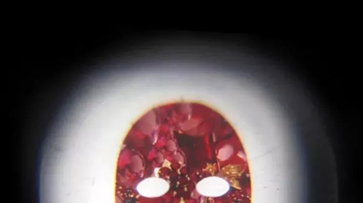 Image: Erica Leal: Face Value