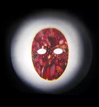 Image: Erica Leal: Face Value