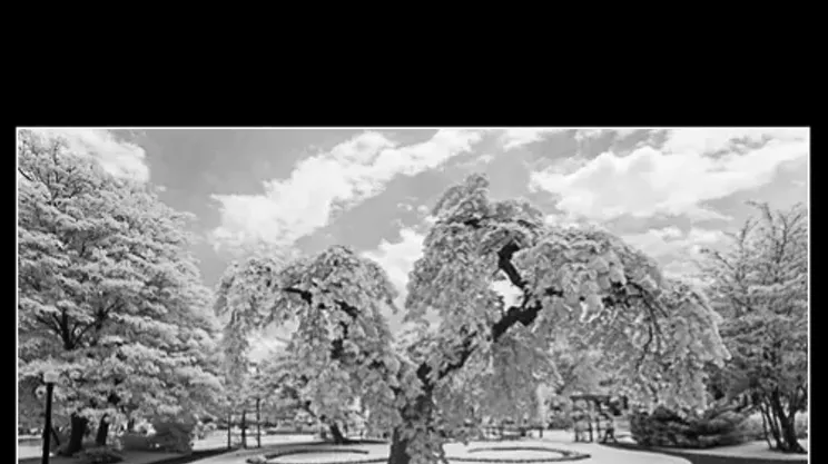 Image: Exposure Time
