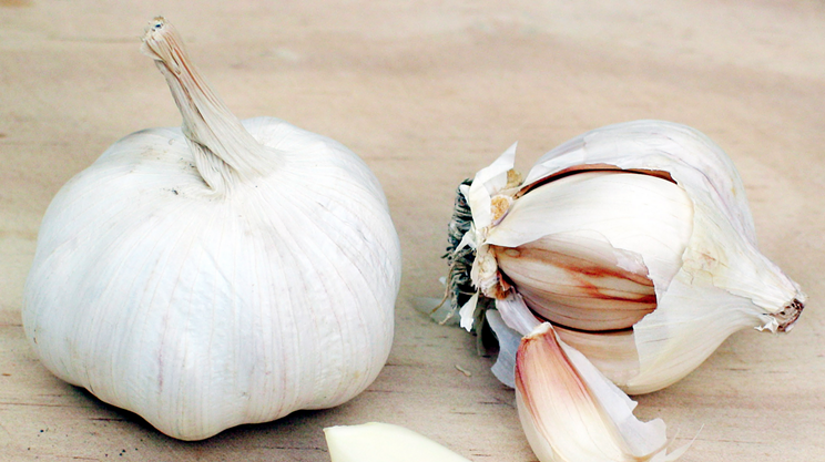 Image: Garlic Festival