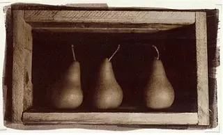 Image: Graham Ward: Camera Obscura