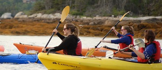 Image: Guided Sea Kayak Tours