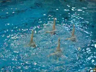 Image: Halifax Aqua Nova Synchro free trial