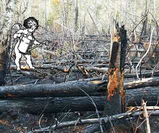 Stephen King agrees: climate change contributed to fires