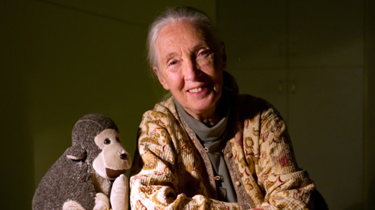 Jane Goodall’s good work