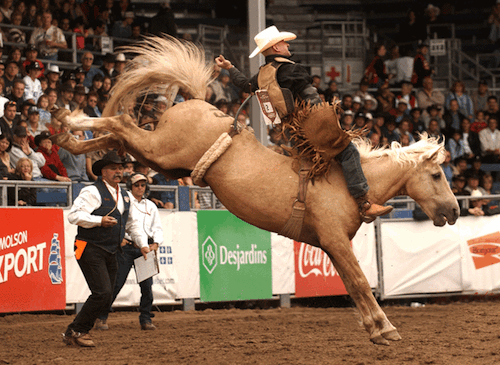 Image: Maritime Fall Fair