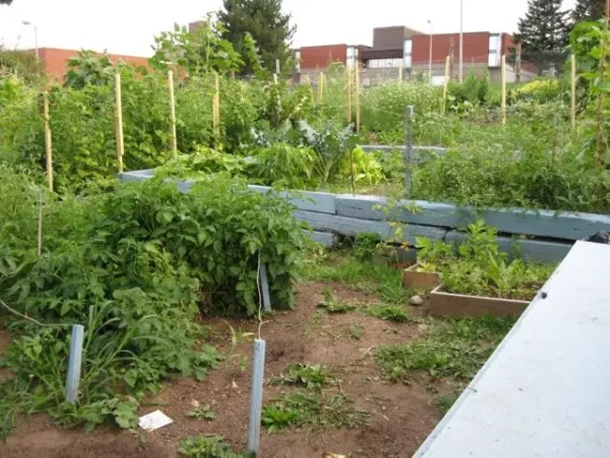 urban-garden-600x450.webp