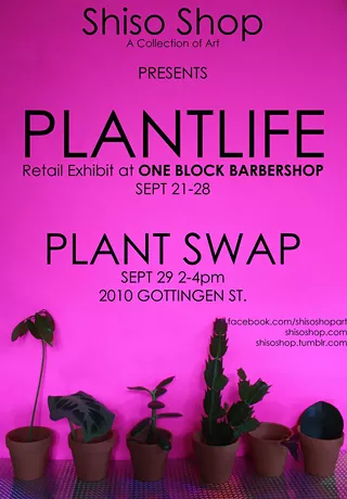 Image: PLANTLIFE