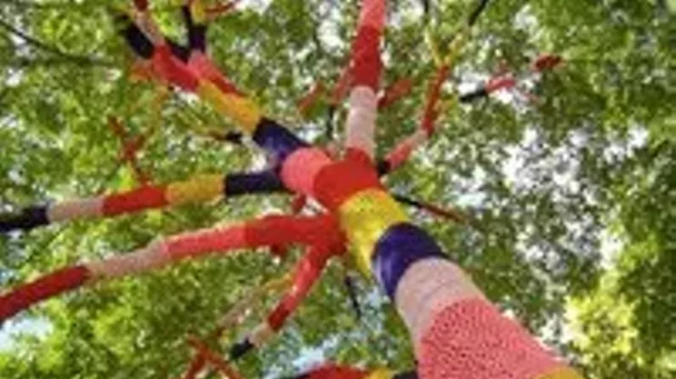 Image: Public Knit-In