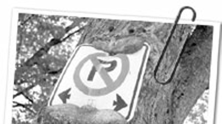 This tree and this parking sign aren’t getting along. The sign is using the tree as a pole, and the tree is fighting back by eating the sign. They’re the original odd couple!
