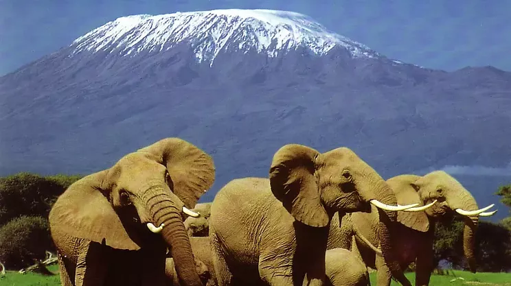 Image: Travelling to Africa