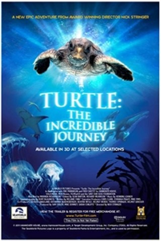 Turtle: The Incredible Journey 3D