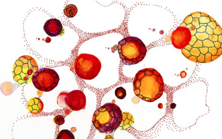 screen_shot_2019-01-28_at_1.41.53_pm.png