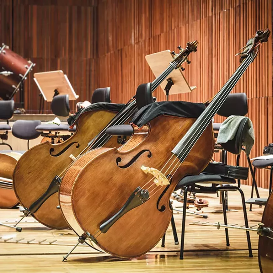 cello-symp.webp