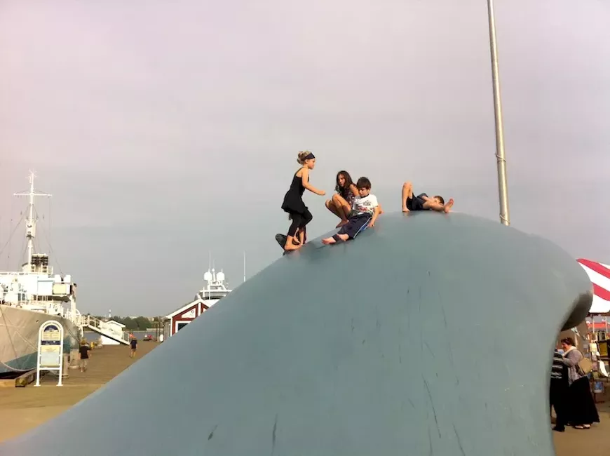The Wave sculpture makes Sackville Landing a landmark.