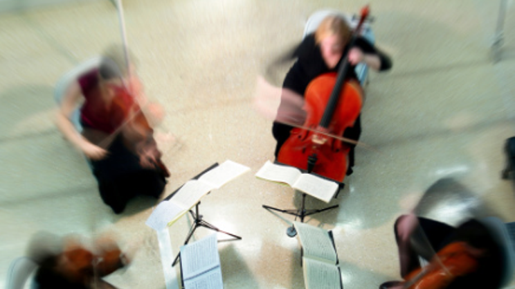 Image: Upstream Ensemble