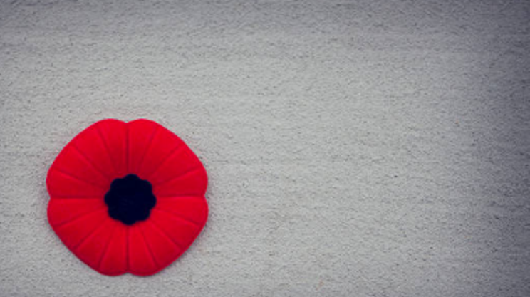 Image: Remembrance Day Parade and Ceremony