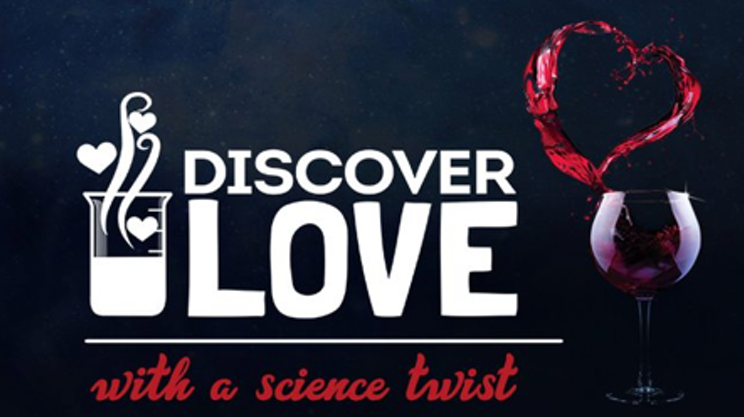 Discover Love