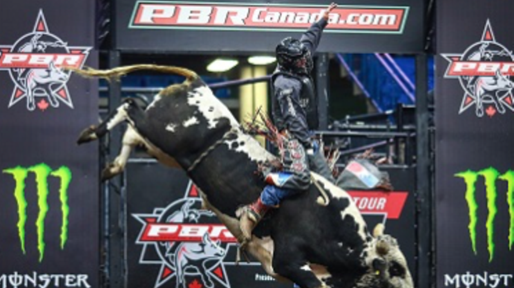 Image: Professional Bull Riders Tour