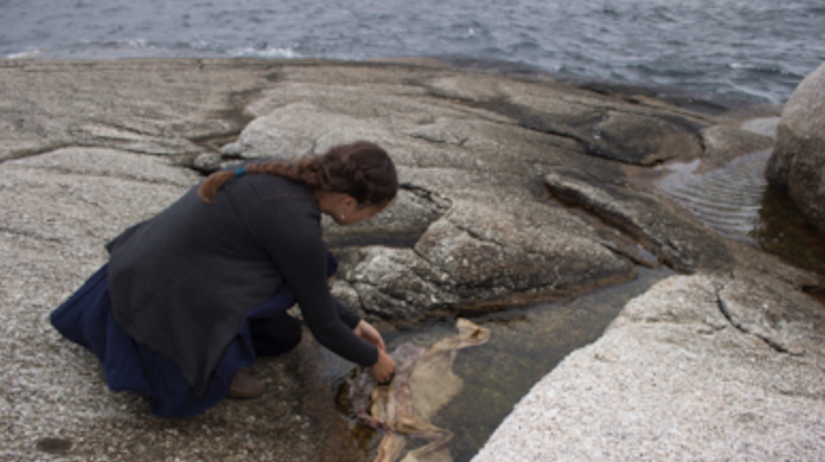 Image: Walking the Littoral