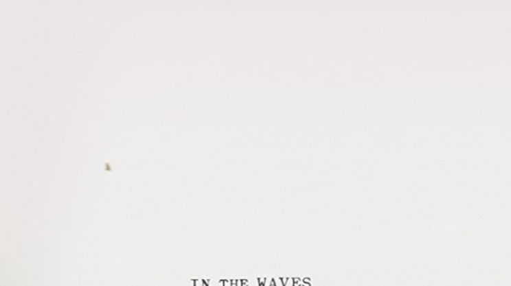 Image: In The Waves screening