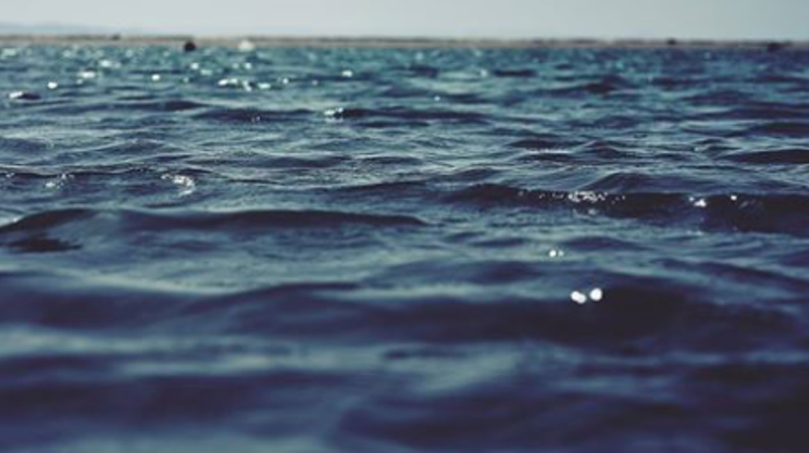Image: World Ocean's Day: The ocean and you