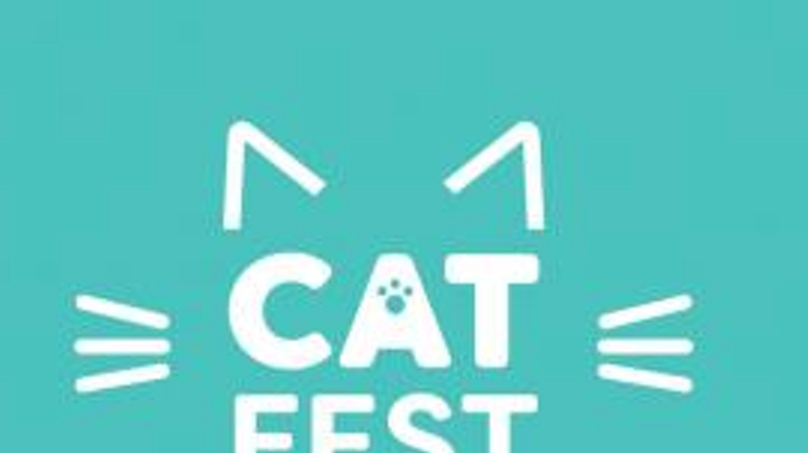 Image: Cat Fest