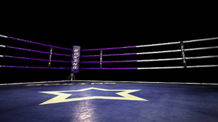 Image: Reborn: Ultimate Championship Wrestling