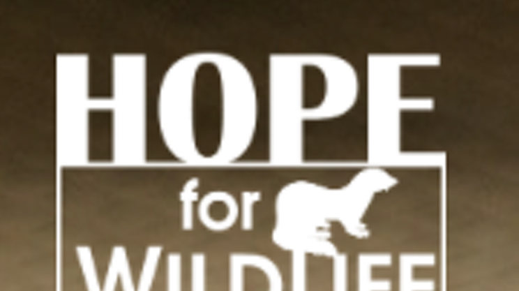 Hope for Wildlife's annual open house