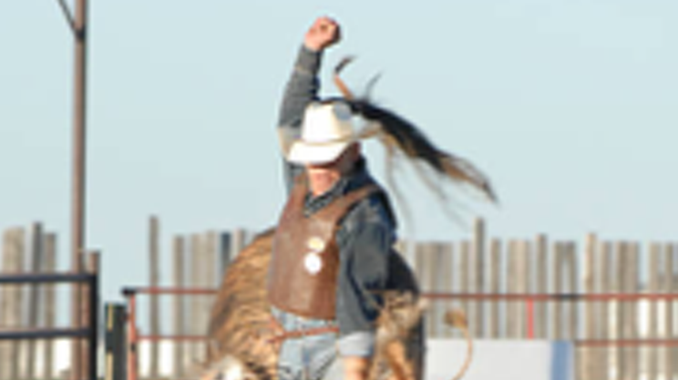 Image: Professional Bull Riders Tour