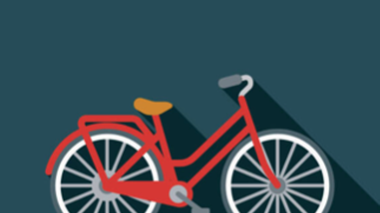 Image: Halifax Bike Auction