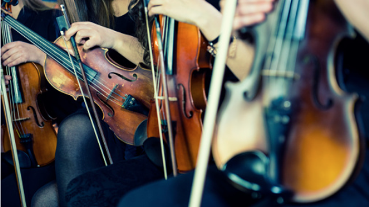 Image: The Chebucto Symphony Orchestra W/Peter Oleskevich