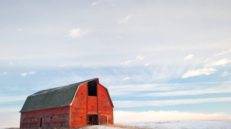 Image: Christmas At The Barn