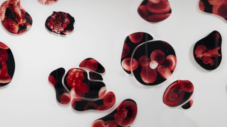 Image: Blood Work