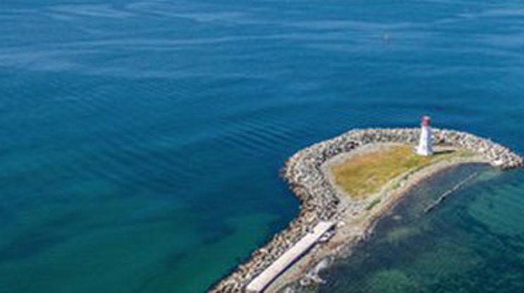 Image: McNabs Island Picnic