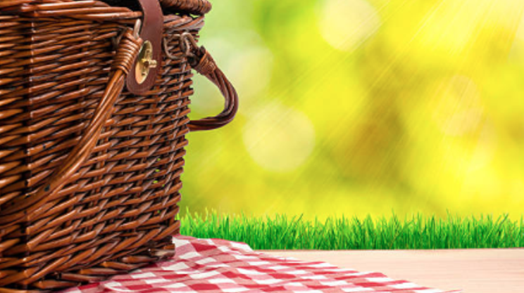 Image: Rendez-Vous 2017 Tall Ships Regatta community picnic