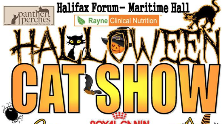 Image: Halloween Cat Show