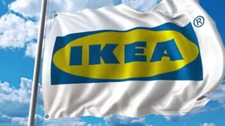 Image: Theodore welcomes IKEA to Halifax
