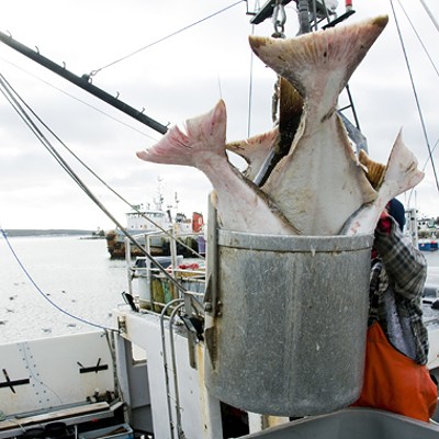 SCIENCE MATTERS: Assessing seafood retailers’ progress helps consumers and industry